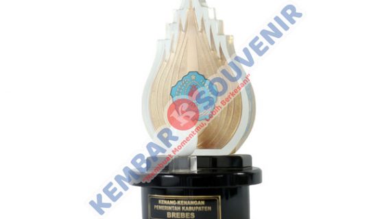 Piala Acrylic Eksklusif Harga Murah